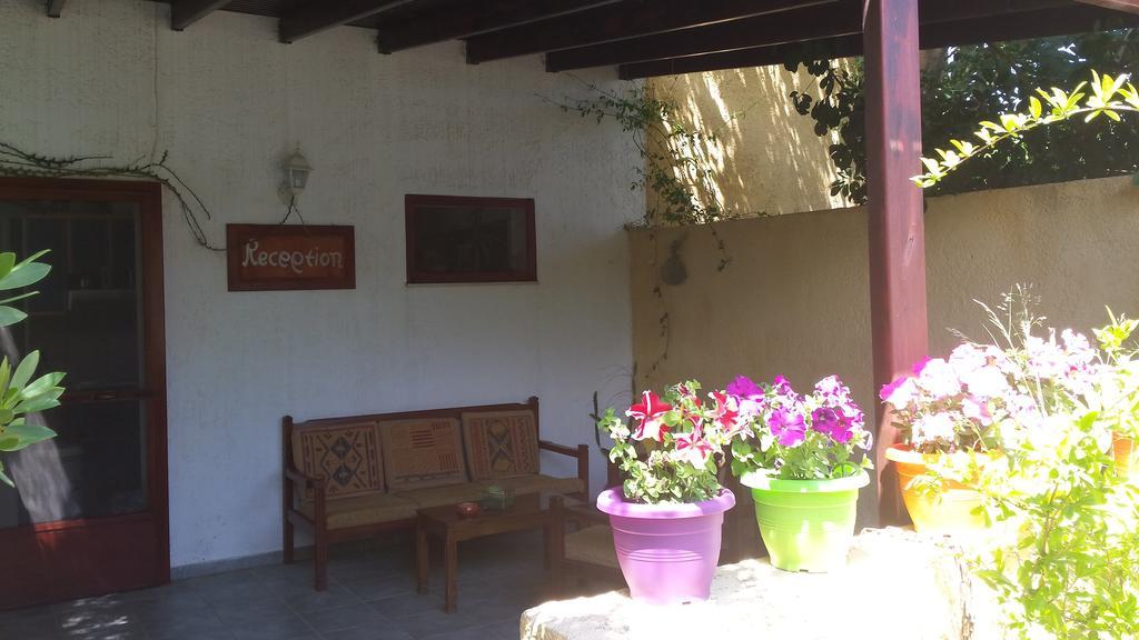 Galini Apartments Palekastro Exterior foto